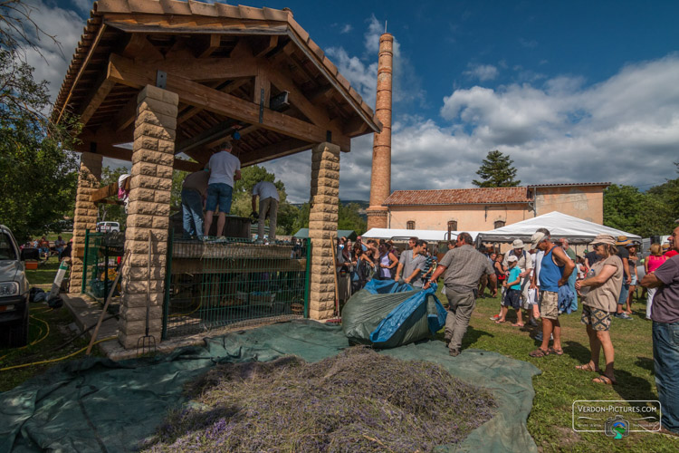 photo fete musee distillerie lavande barreme verdon